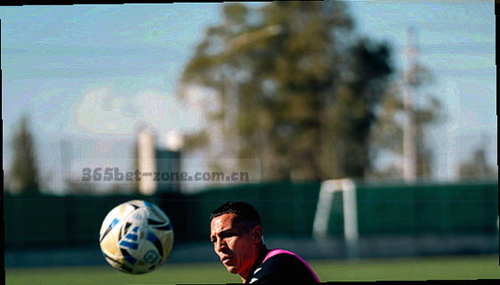 彩色标签云样式，包含五大联赛标签